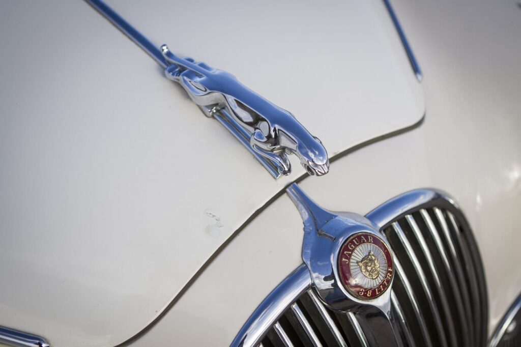 detalhe do capô do Jaguar MK II - carros jaguar