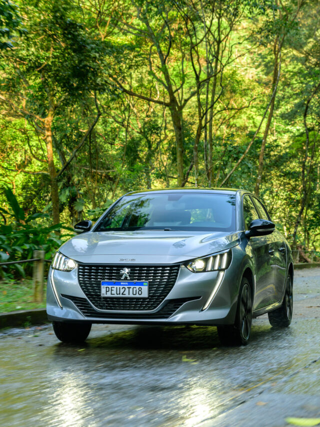 PEUGEOT 208 TURBO Style WEBSTORIES