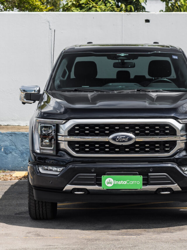 FORD F-150 PLATINUM WEBSTORIES (15)