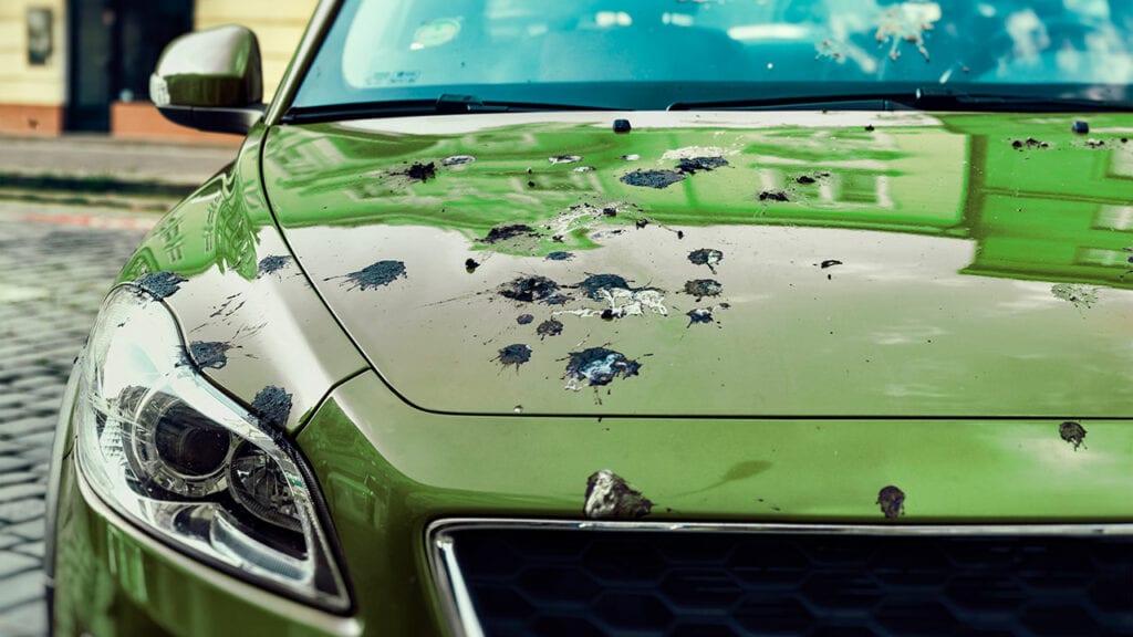 Capô de um automóvel na cor verde coberto por fezes de pássaros.